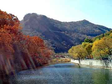 新澳天天开奖资料大全旅游团，尼龙板规格